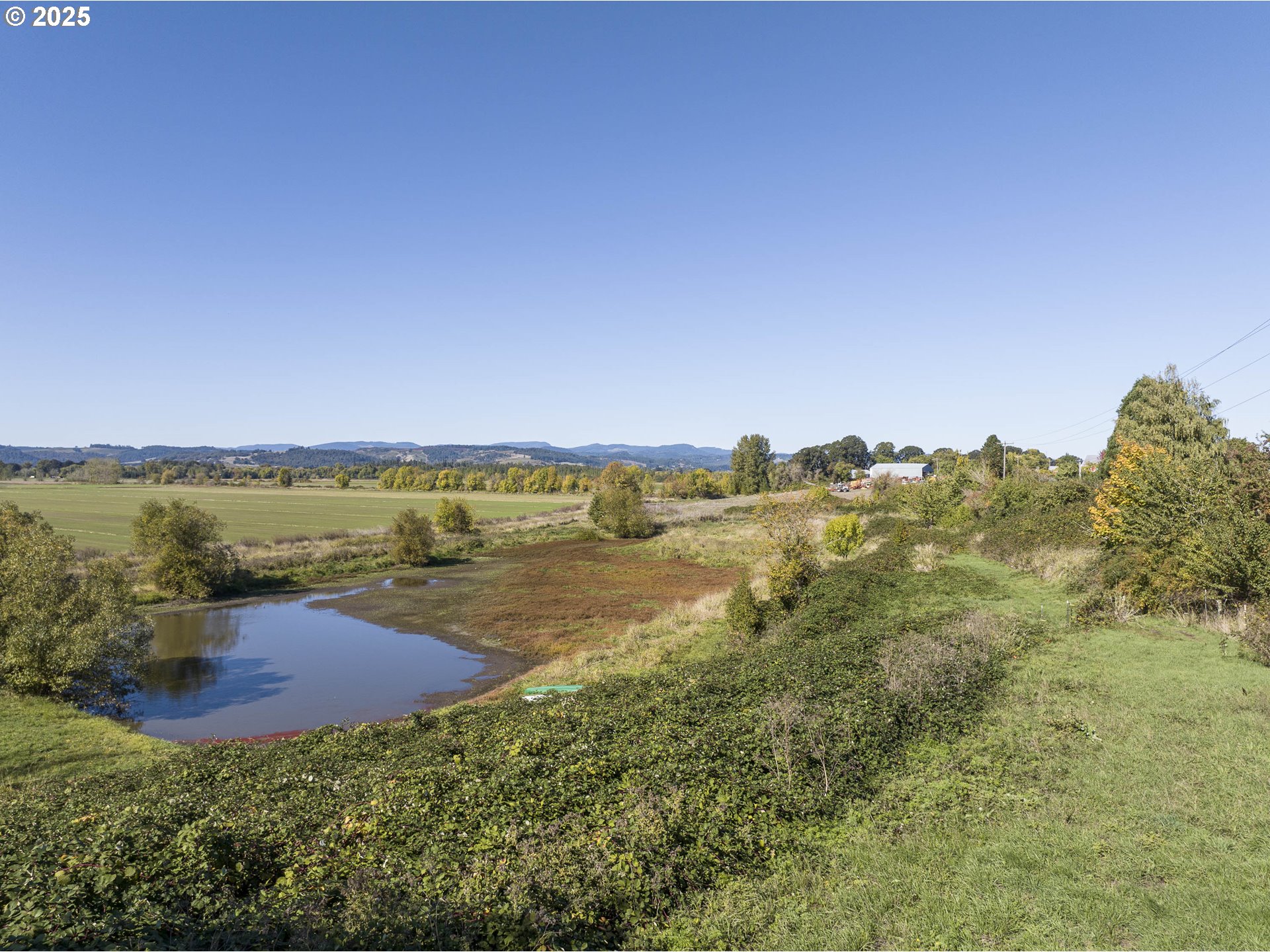 19800 SW BRIEDWELL RD, McMinnville