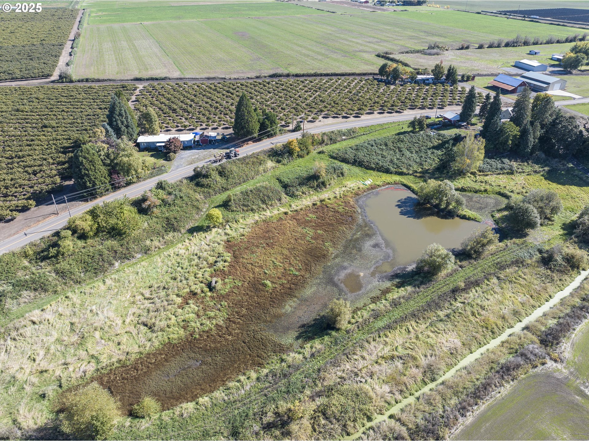 19800 SW BRIEDWELL RD, McMinnville