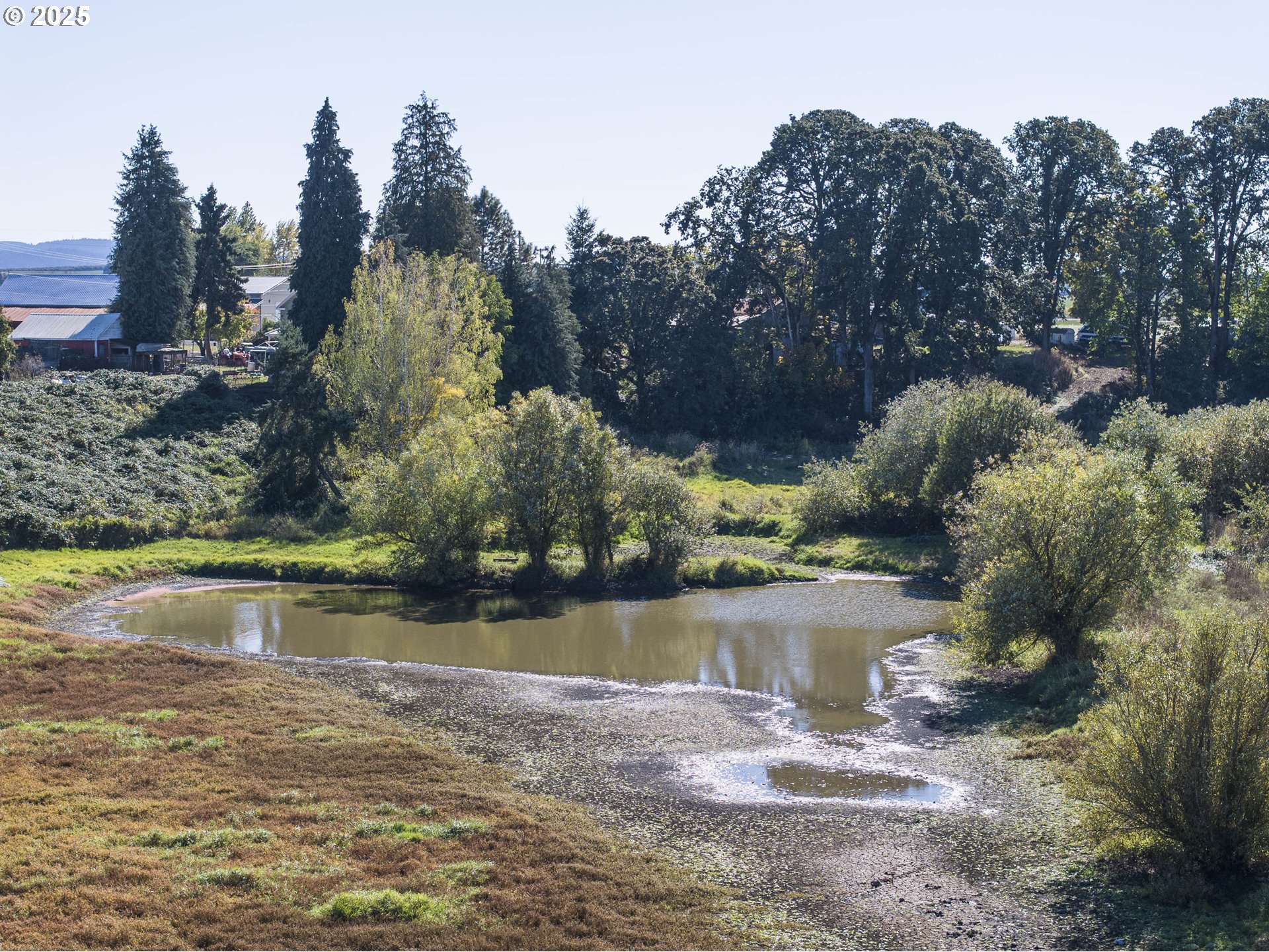 19800 SW BRIEDWELL RD, McMinnville