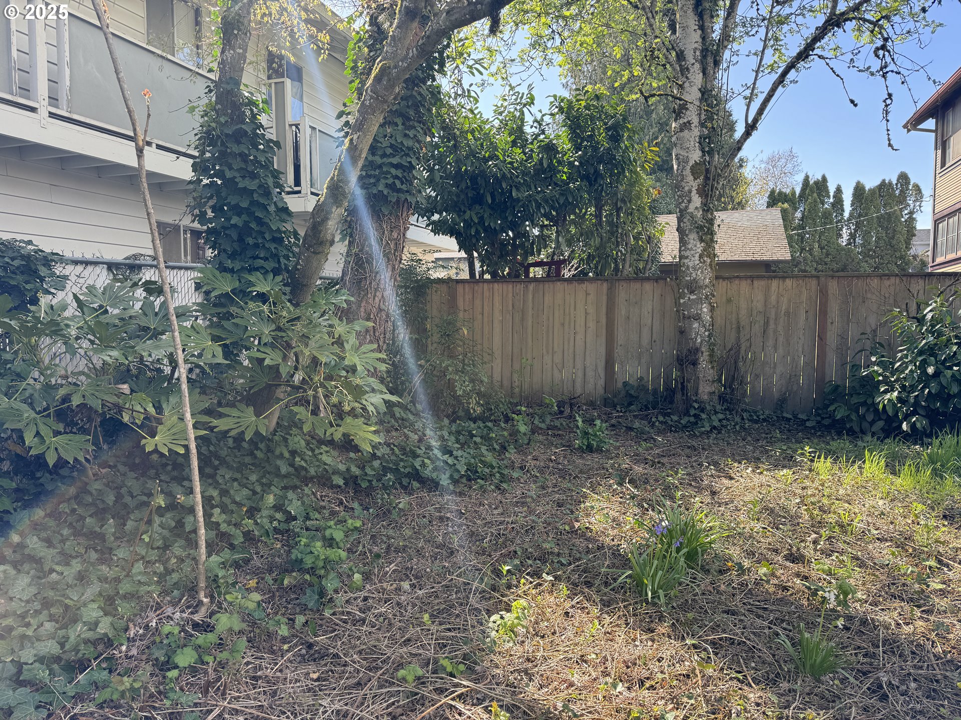 240 SE DAVIS ST, McMinnville