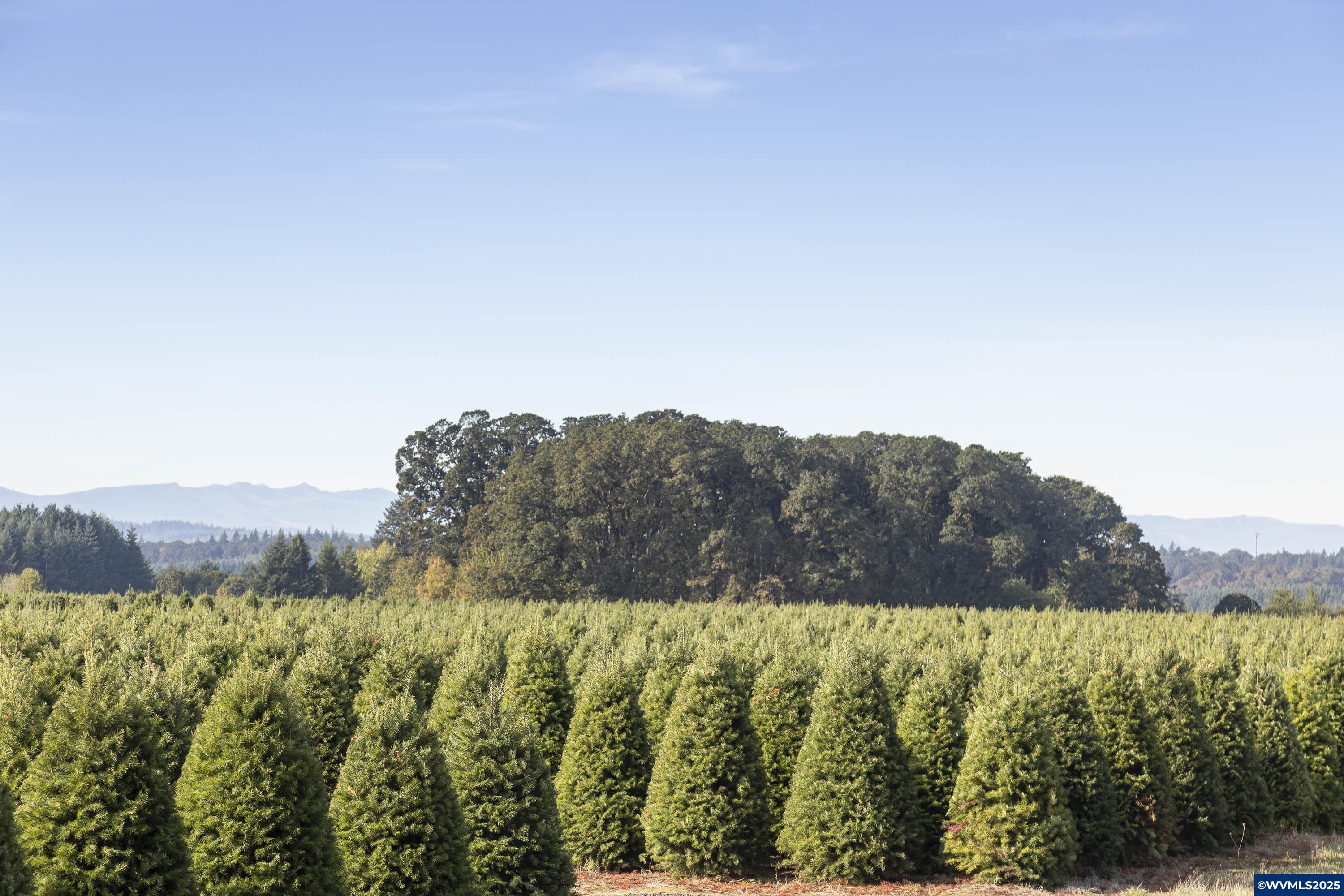 25110 SW Red Prairie Rd