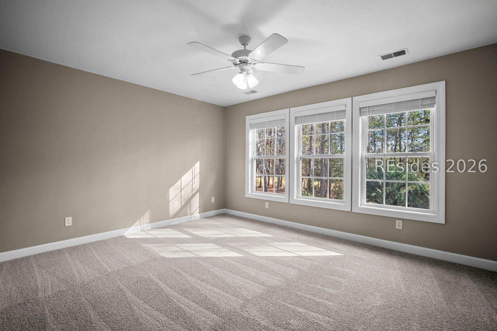 38 Sapelo Island Lane