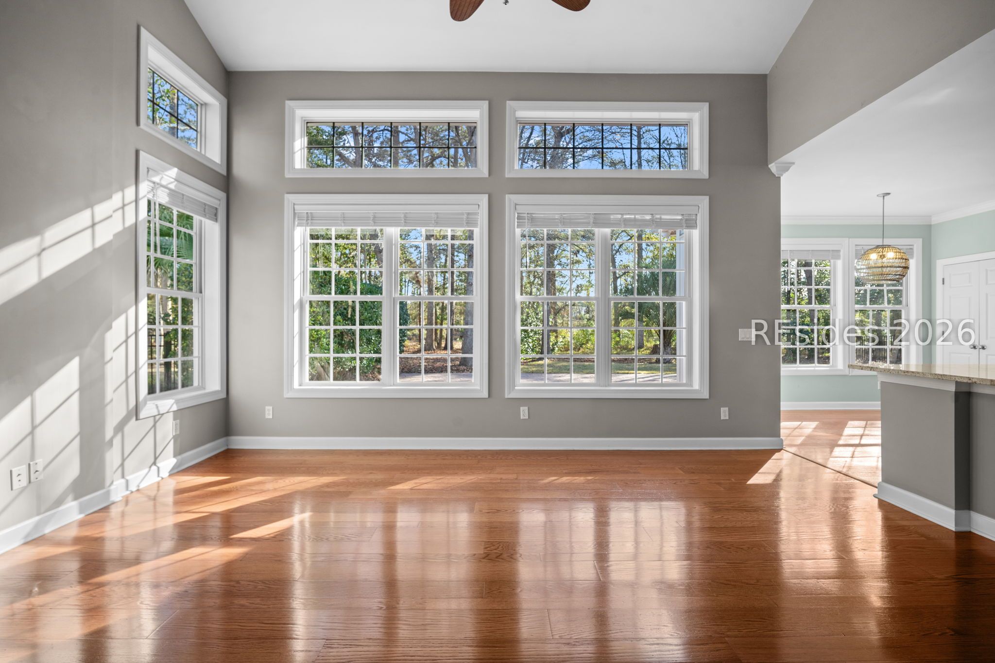 38 Sapelo Island Lane