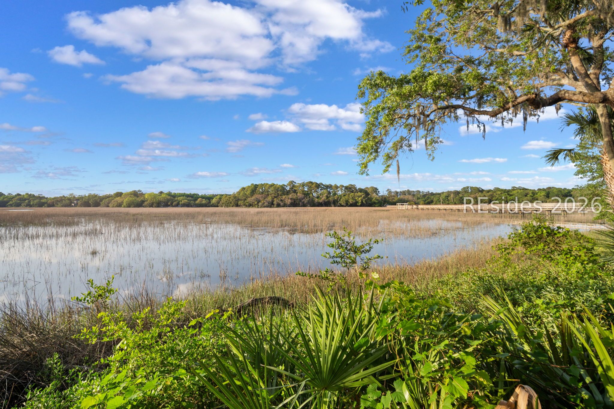 25 Seagrass Landing Court