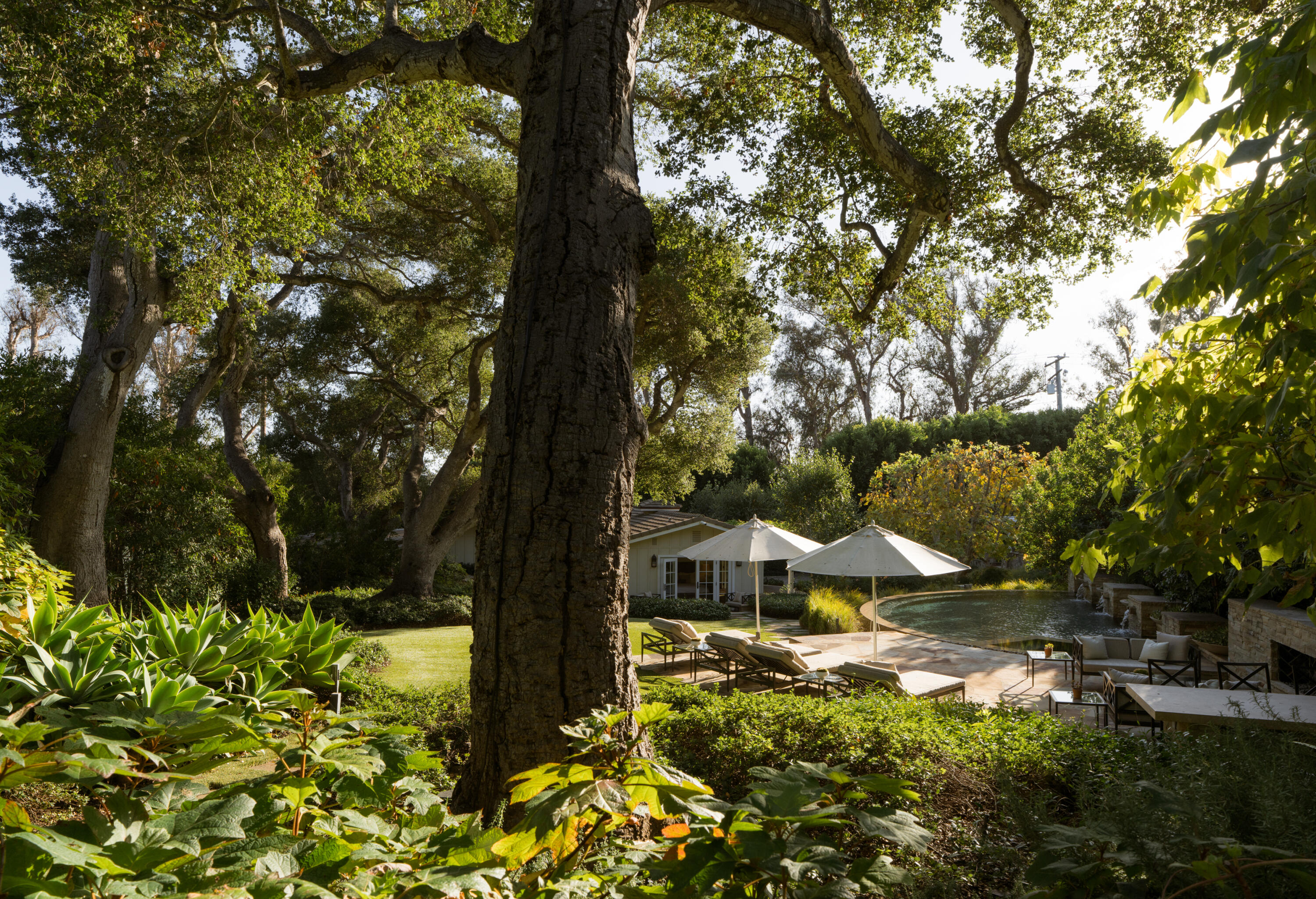 610 Olive Road