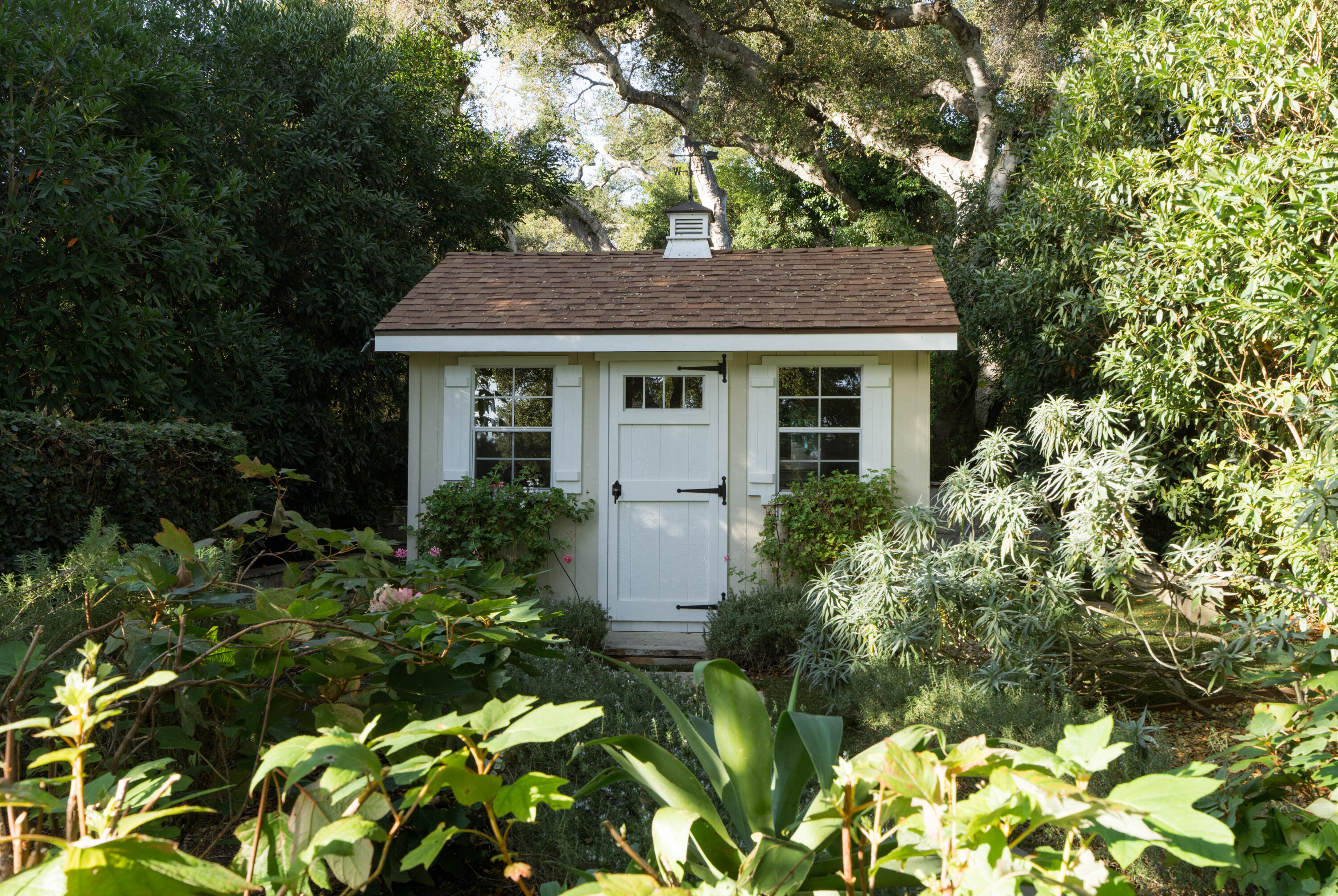 610 Olive Road