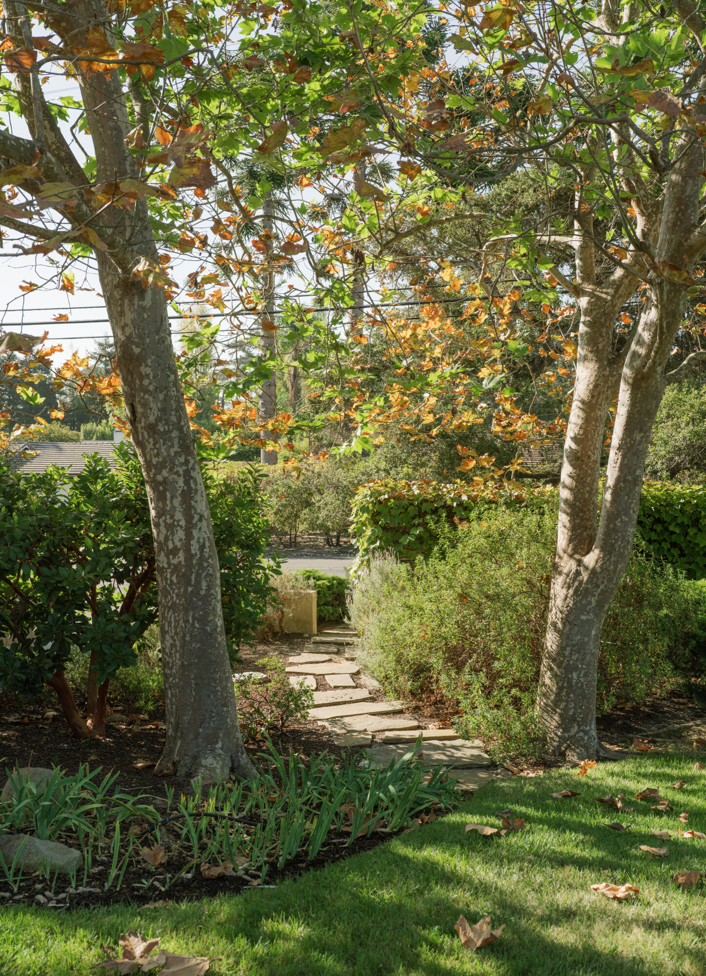 505 Alston Road