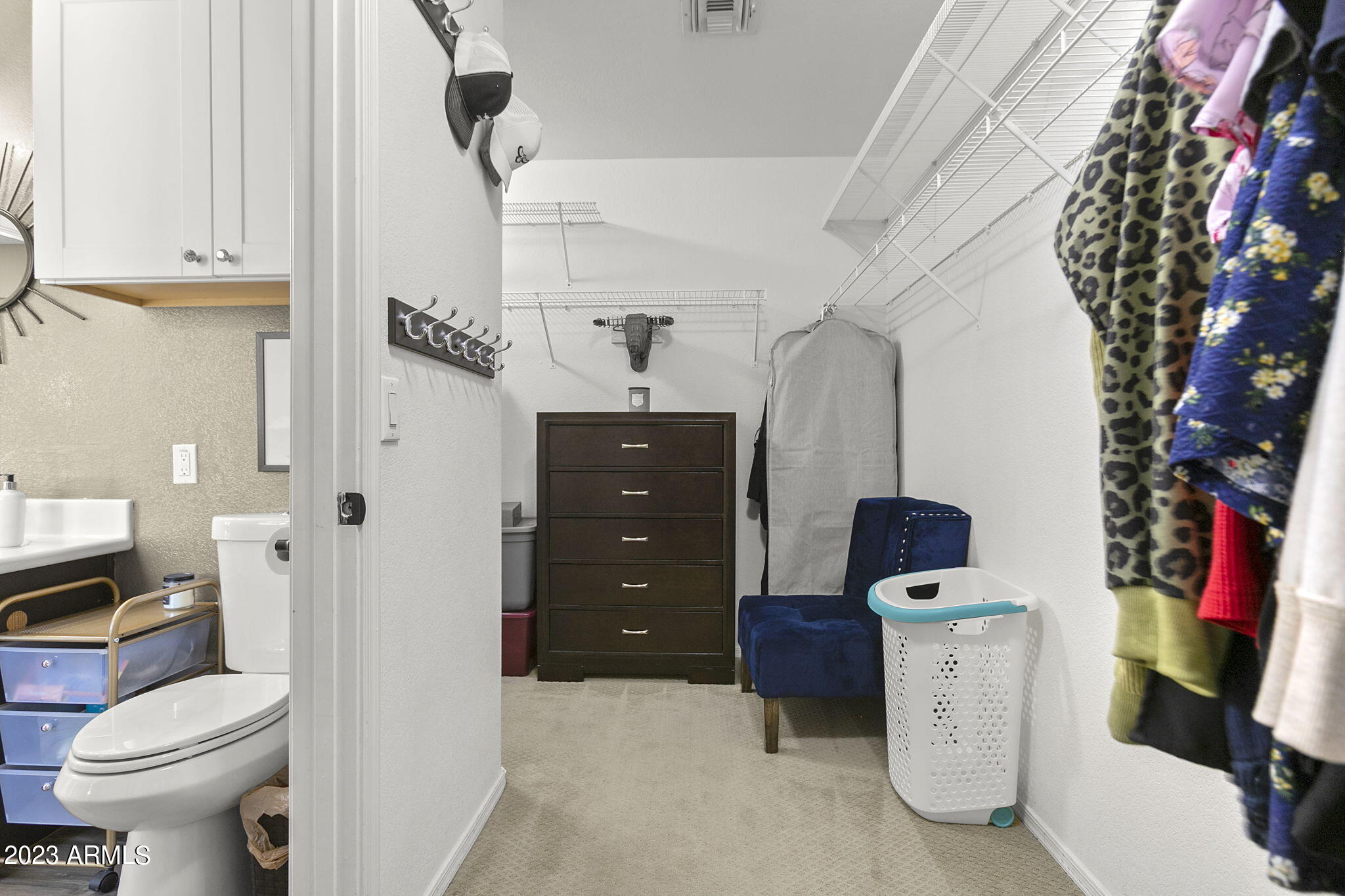 548 E RED ROCK Trail