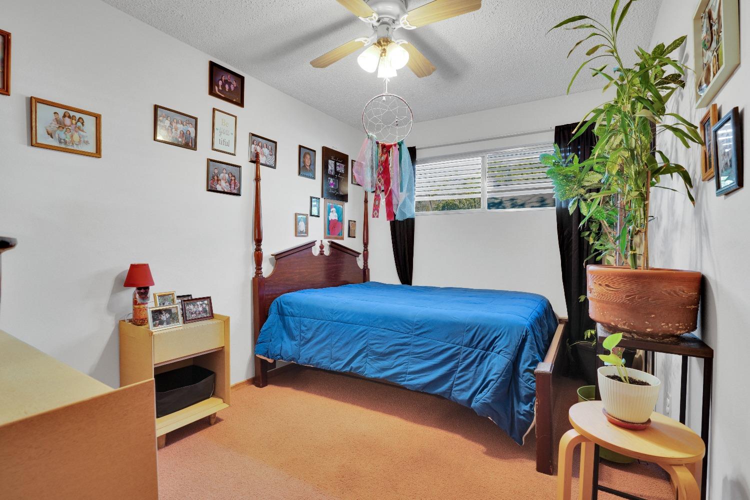 2111 2113 Elmwood Avenue