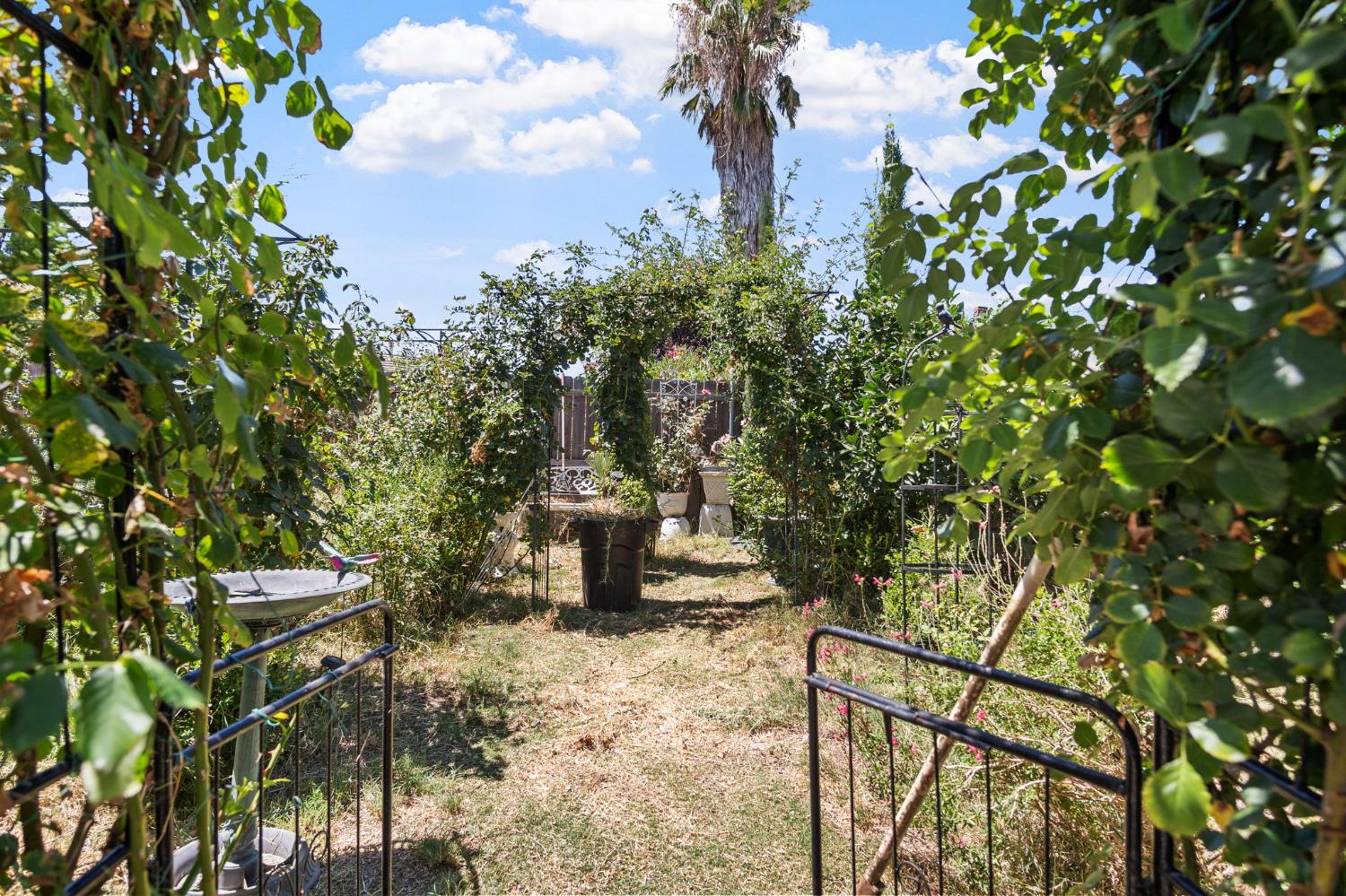 4131 Bellettini Court