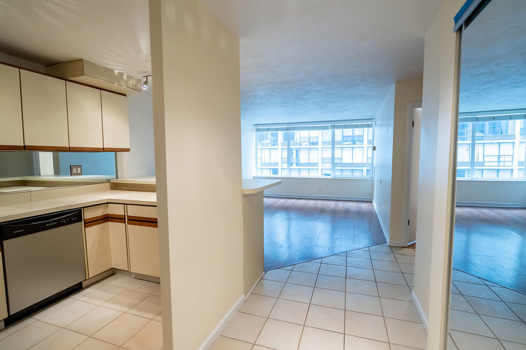 233 E Erie Street Unit: 1309