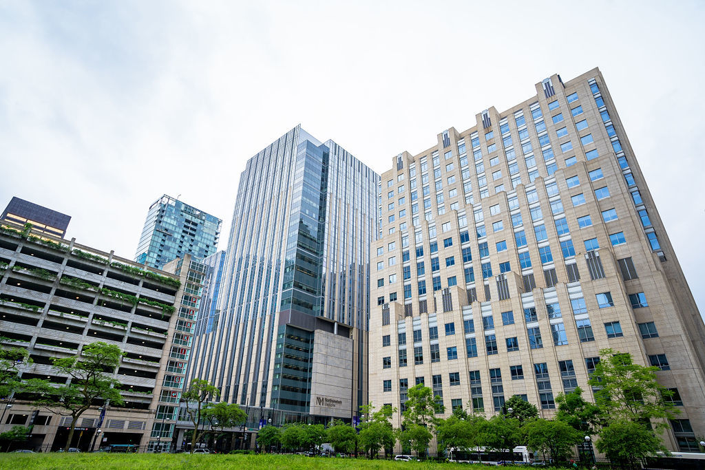 233 E Erie Street Unit: 1309