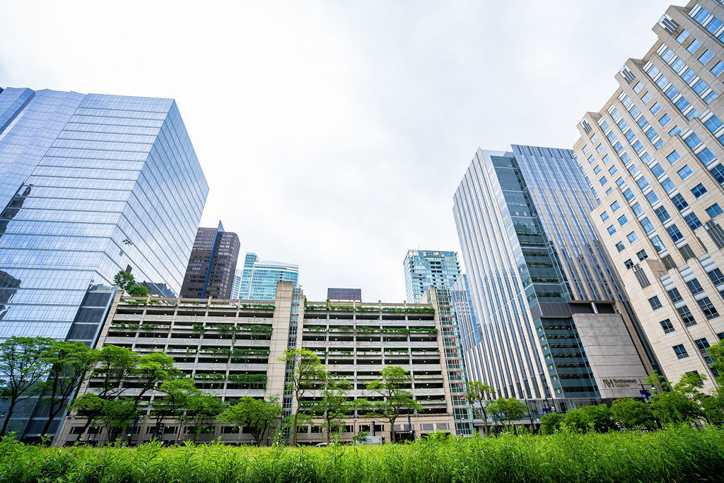 233 E Erie Street Unit: 1309