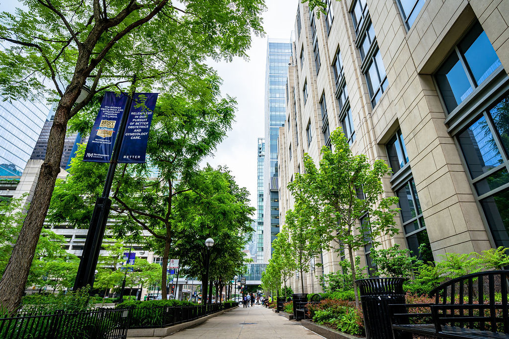 233 E Erie Street Unit: 1309