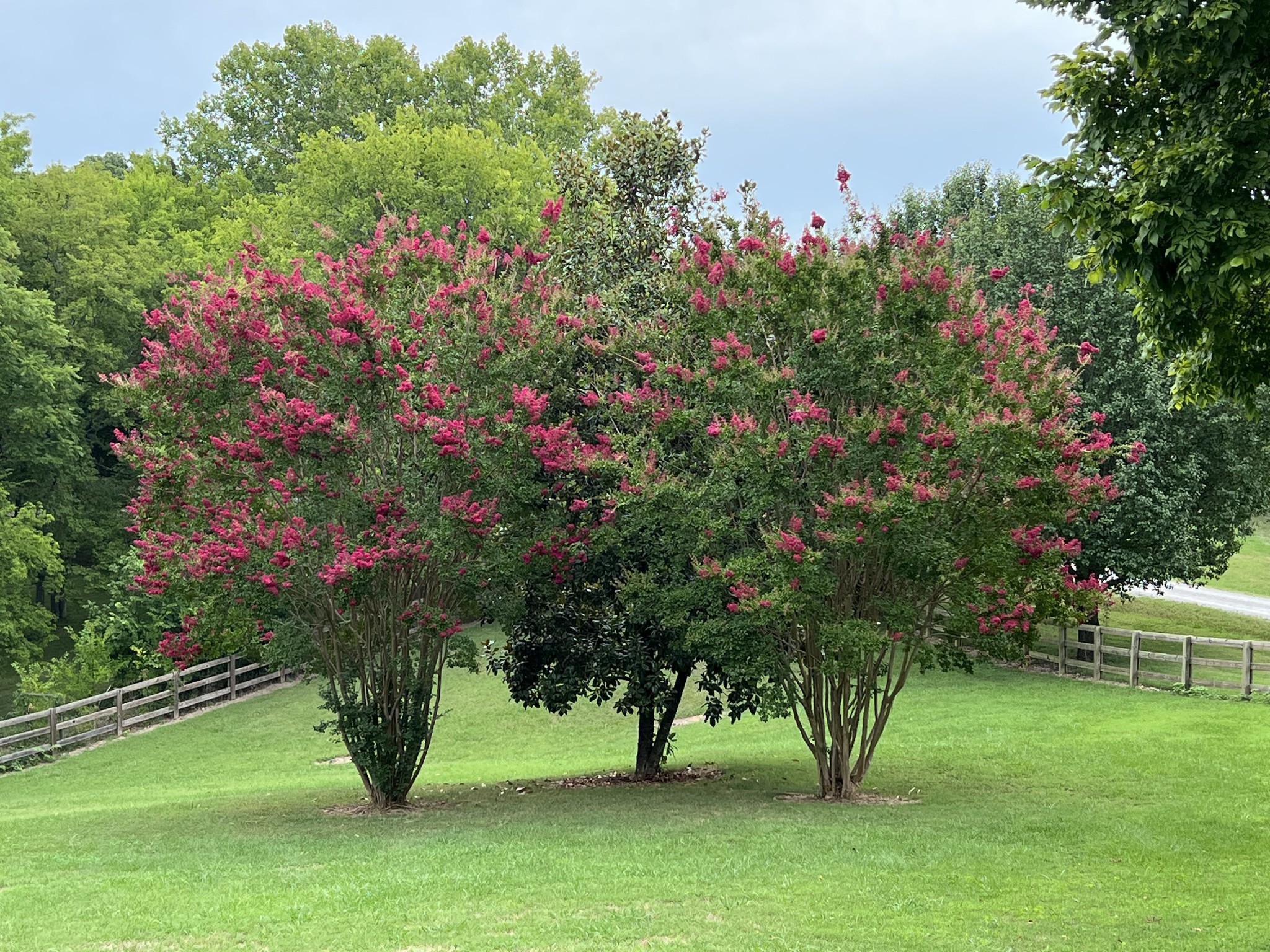 844 Hickory Ridge Trl