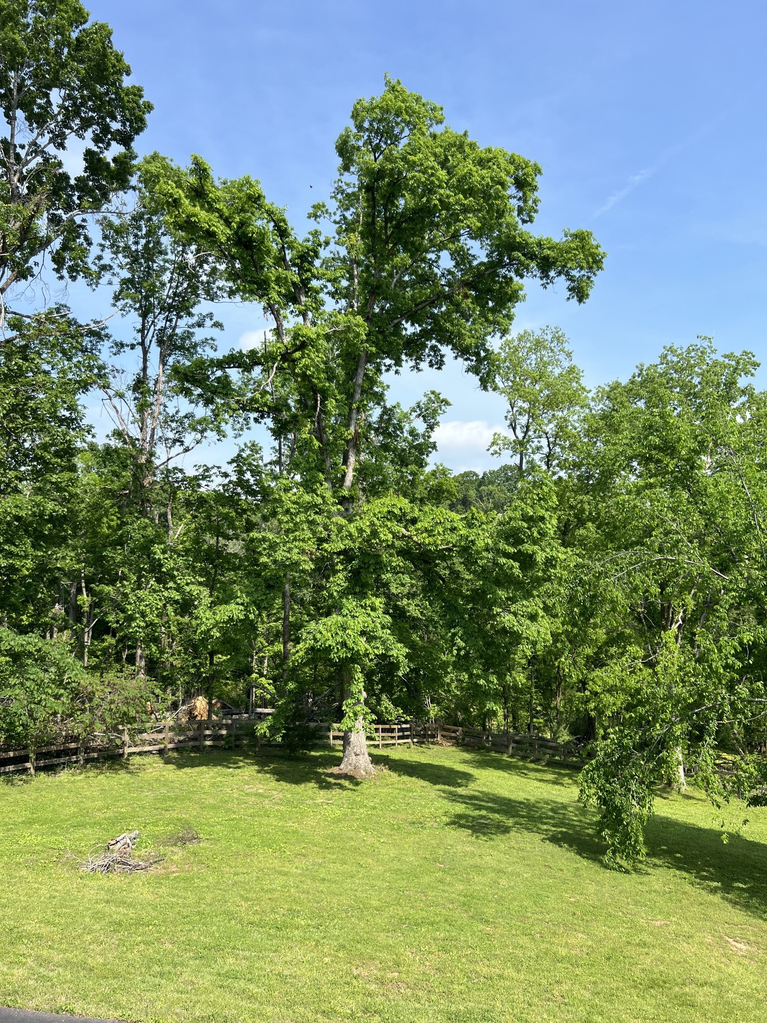 844 Hickory Ridge Trl