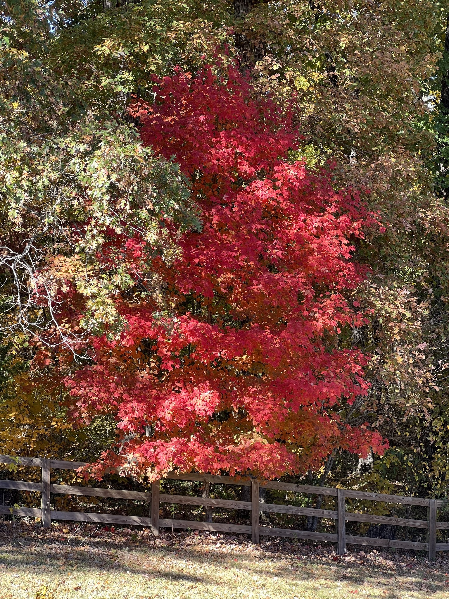 844 Hickory Ridge Trl