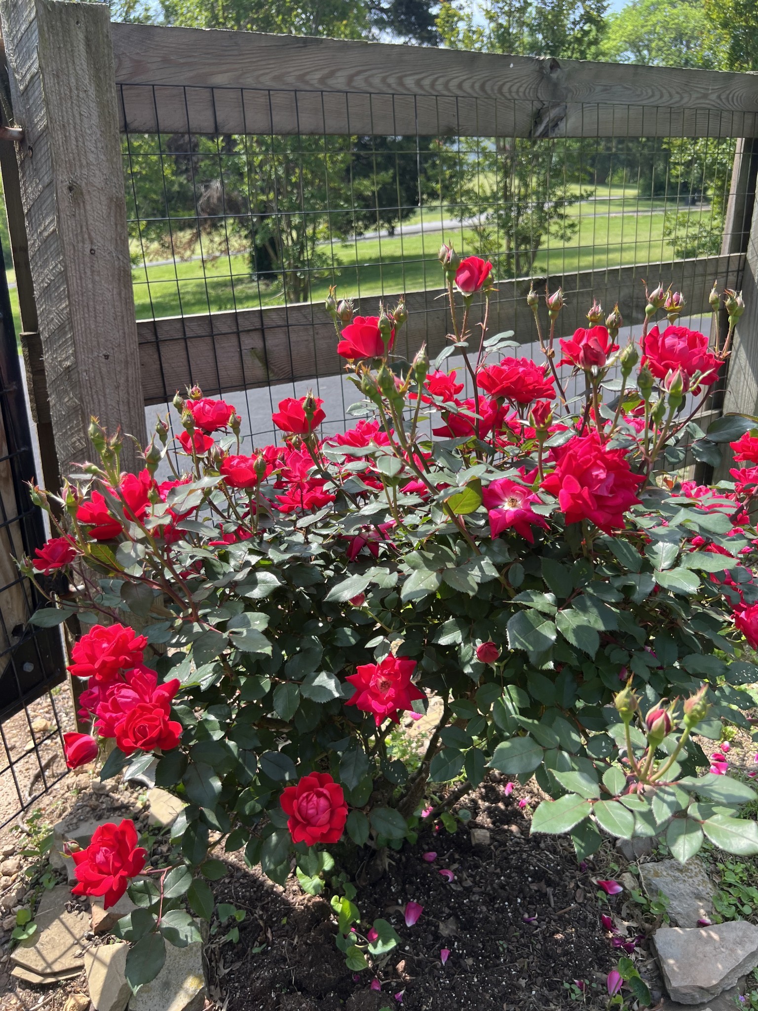 844 Hickory Ridge Trl