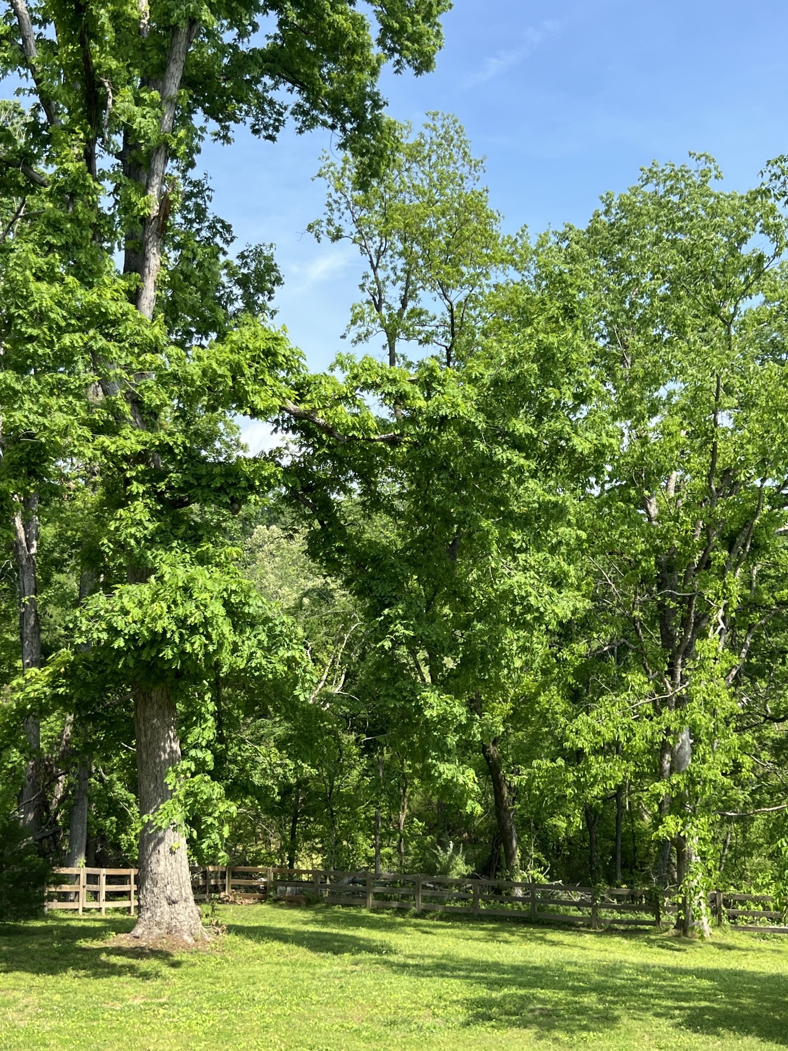 844 Hickory Ridge Trl