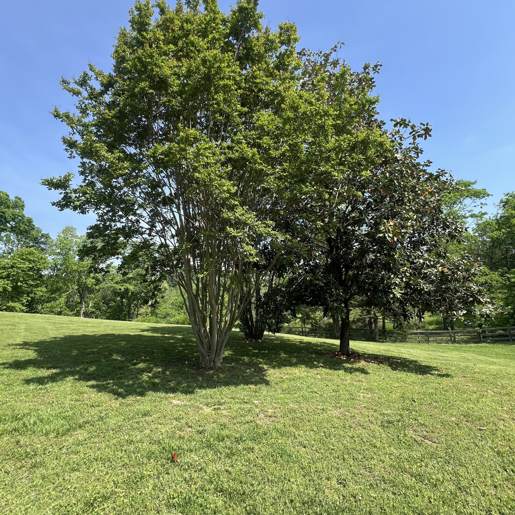 844 Hickory Ridge Trl