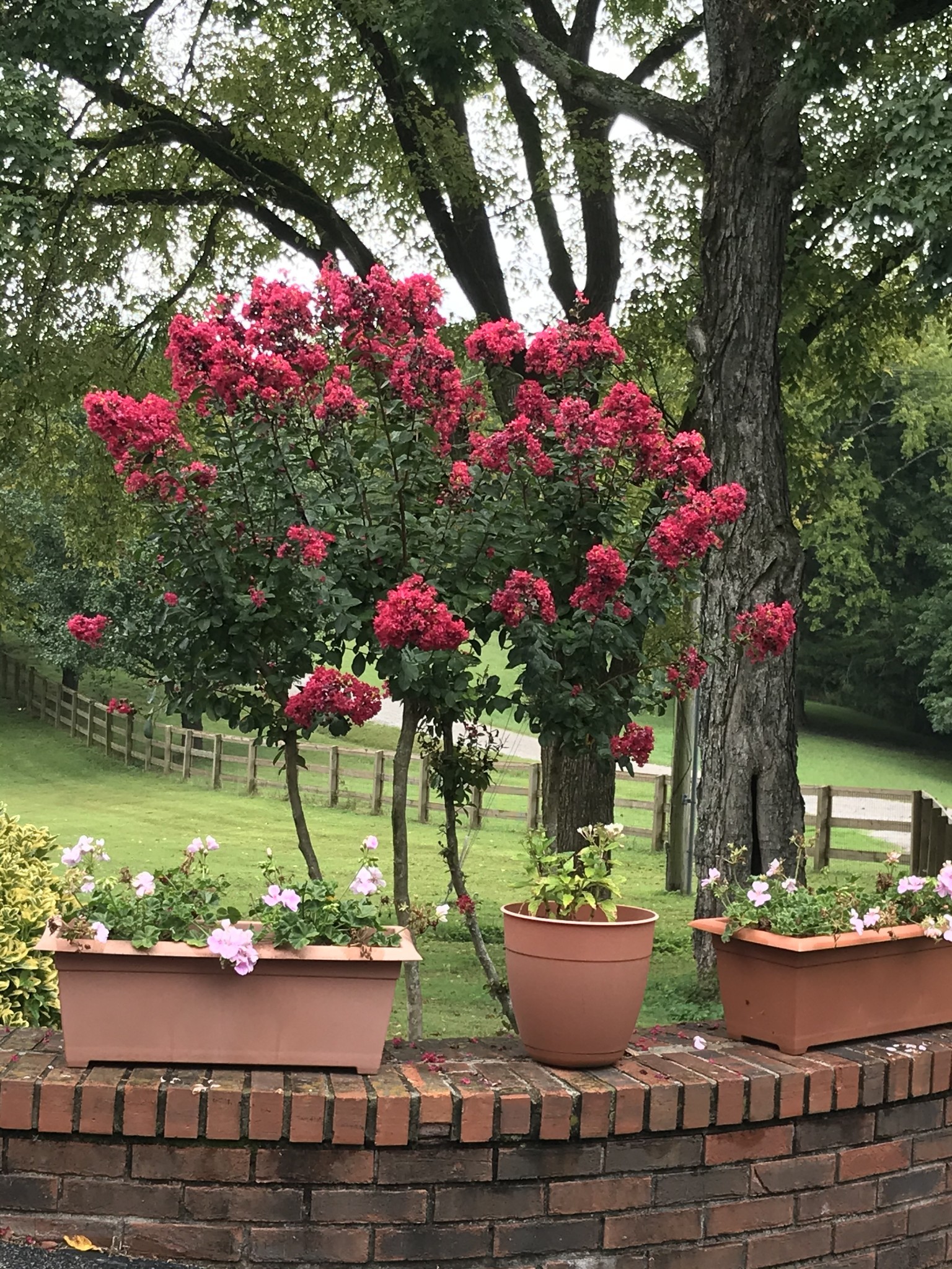 844 Hickory Ridge Trl