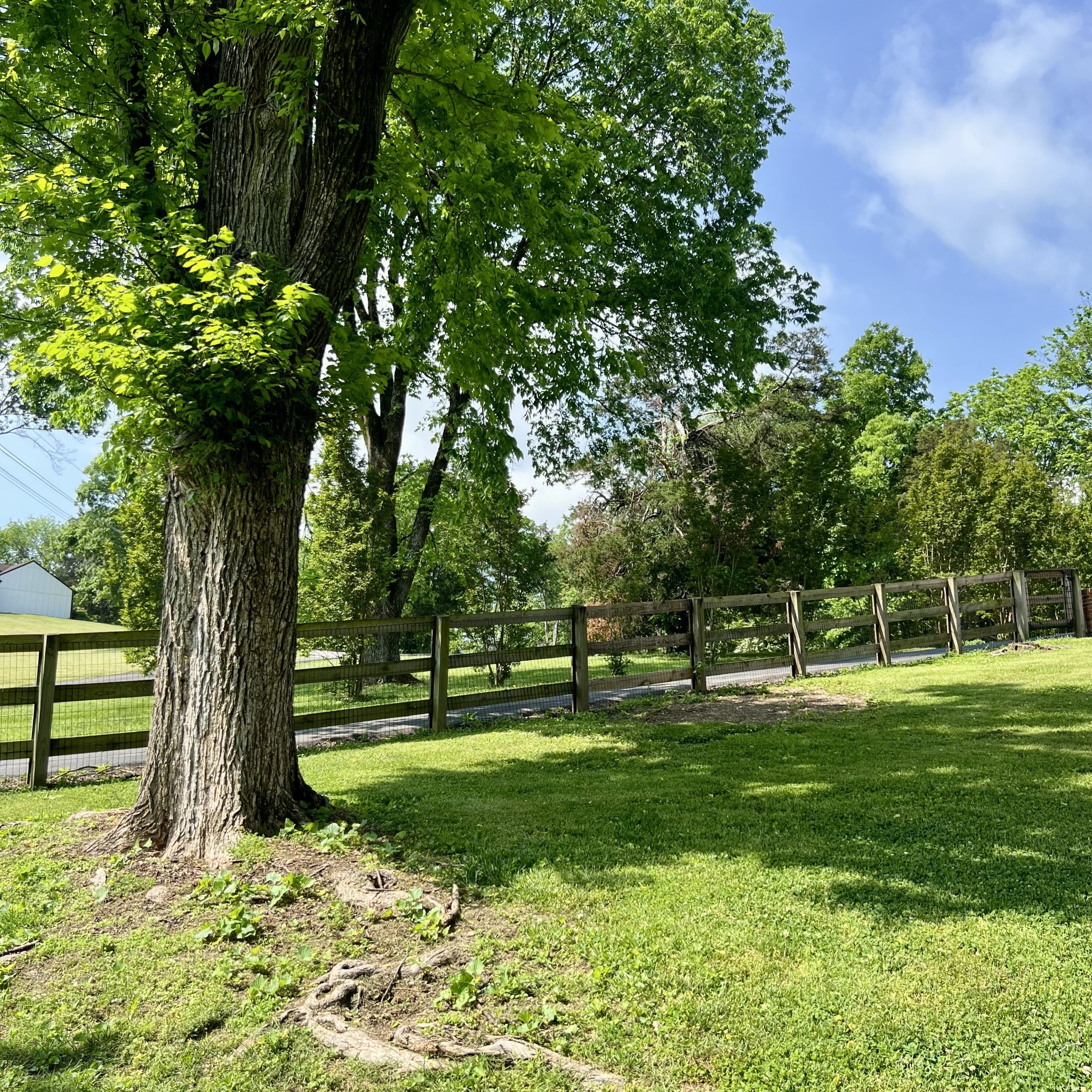 844 Hickory Ridge Trl