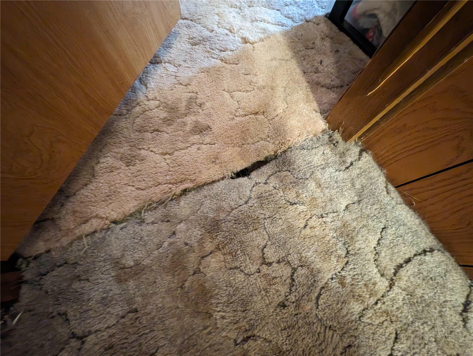 6173 Wood Hollow Drive