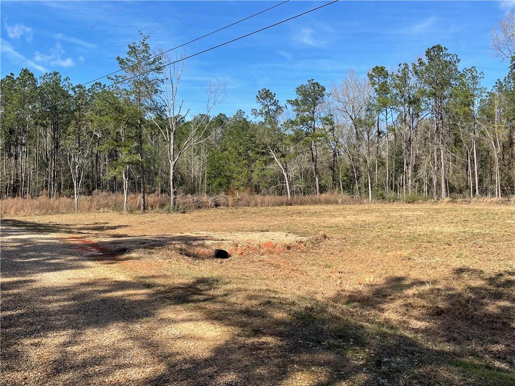 43377 LEGACY Lane