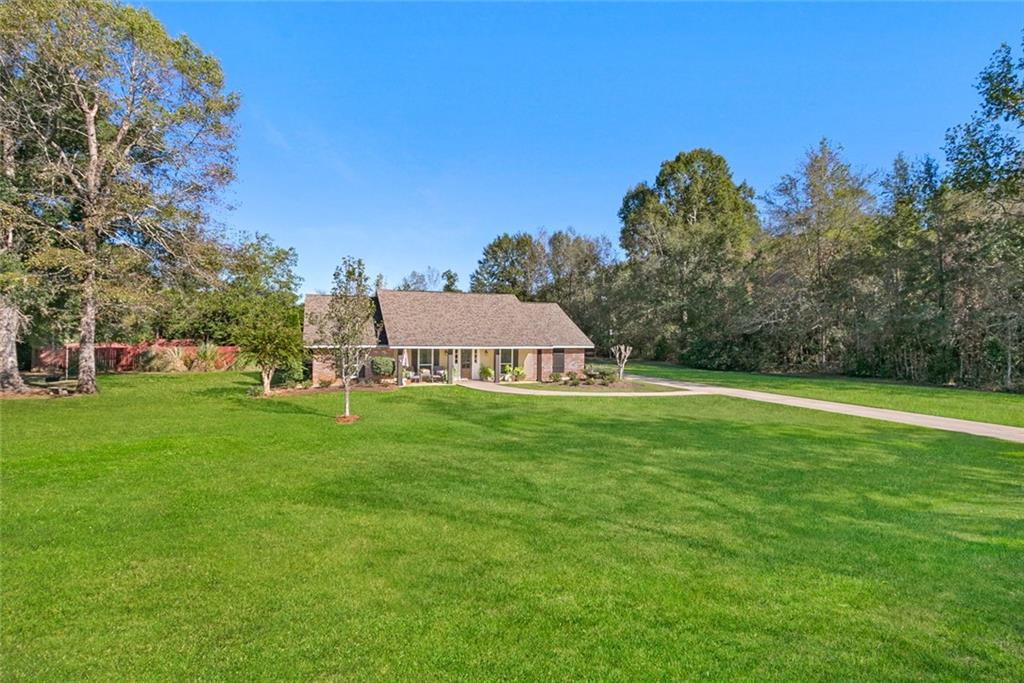 1019 NEEDLE Road