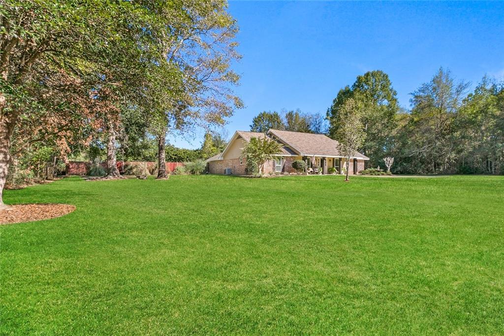 1019 NEEDLE Road