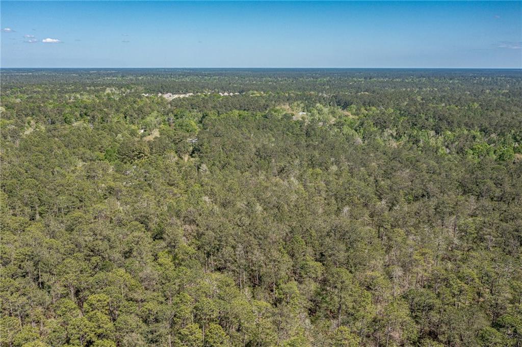 14.75 Acres 437 Highway