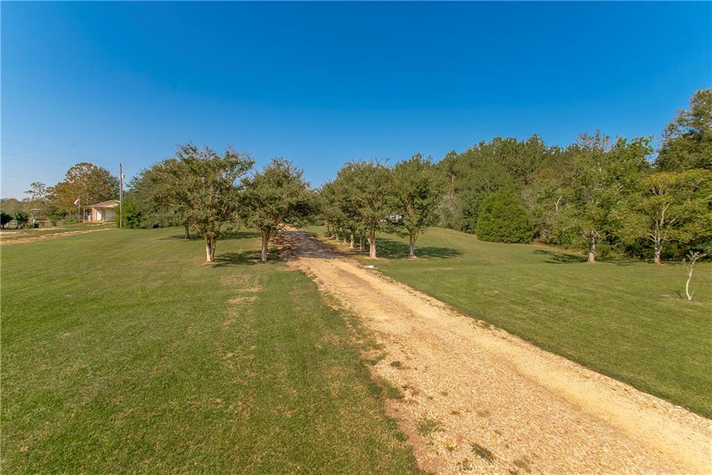 16631 BLUEBIRD Road