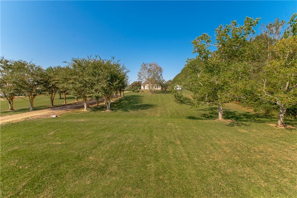 16631 BLUEBIRD Road