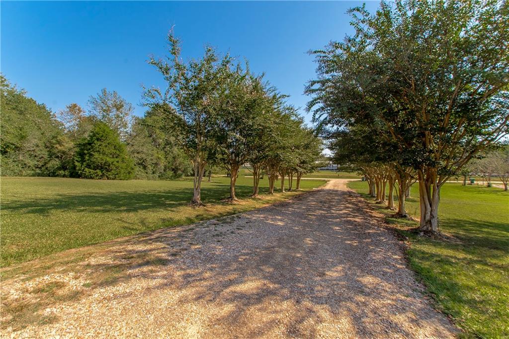 16631 BLUEBIRD Road