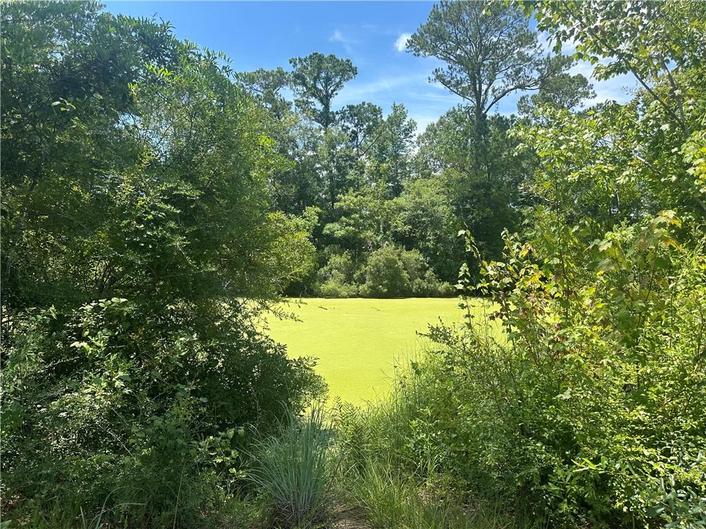 Lot 16 ALAN Circle