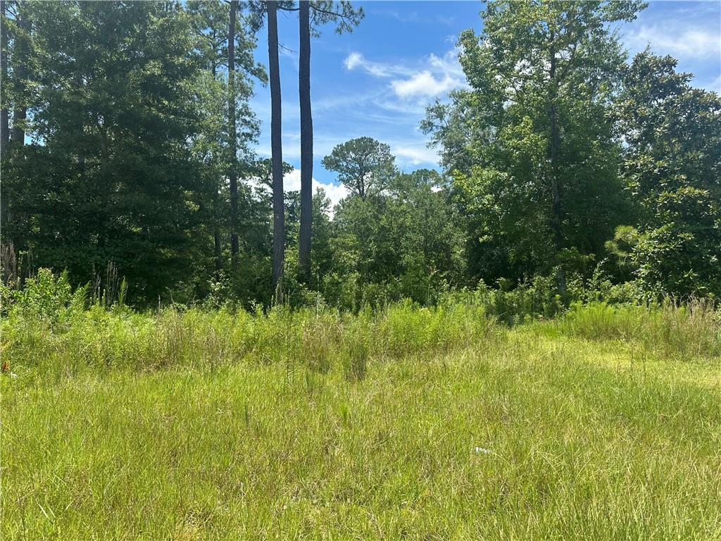 Lot 16 ALAN Circle