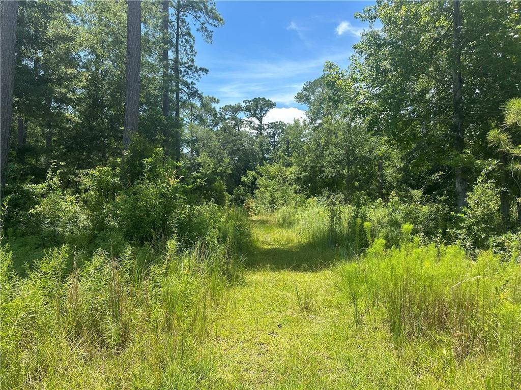 Lot 16 ALAN Circle