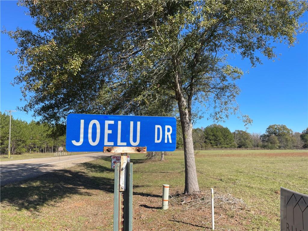 Lot 13 JOELU Drive