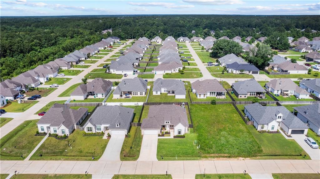 2017 WHITE DOVE Drive