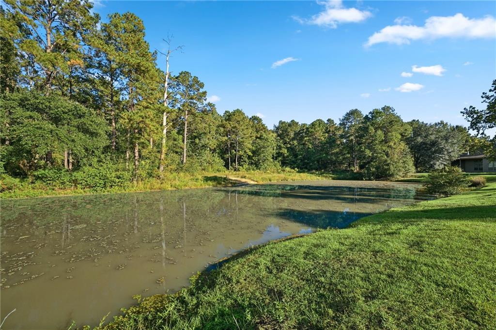 145 WOOD THRUSH Drive