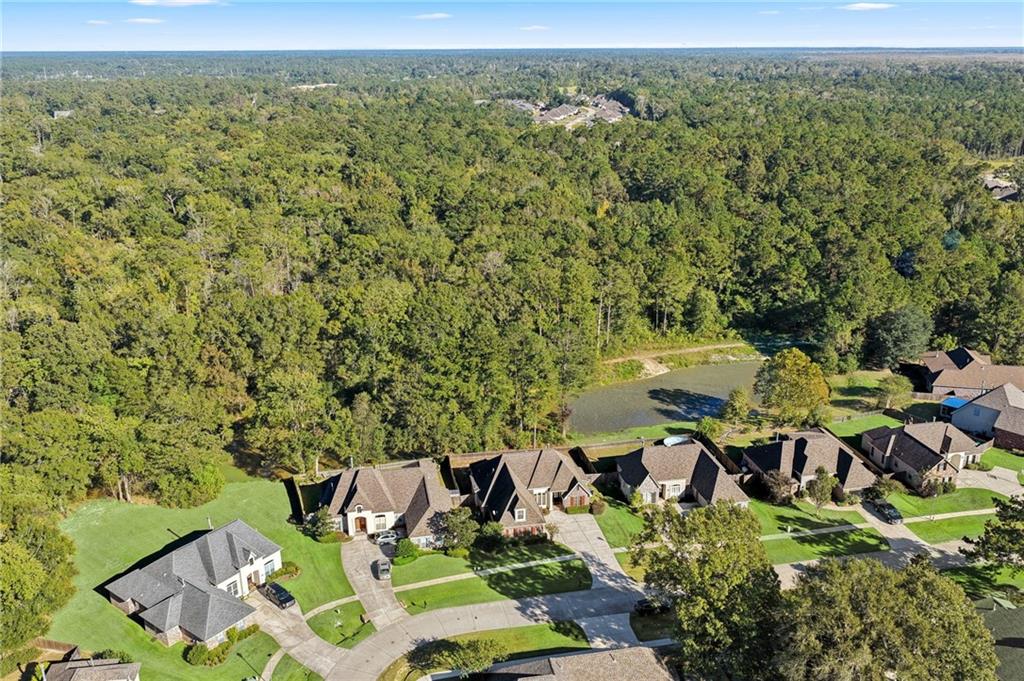 145 WOOD THRUSH Drive