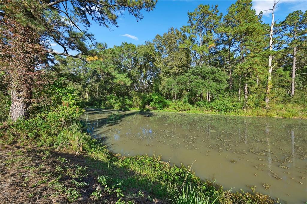 145 WOOD THRUSH Drive