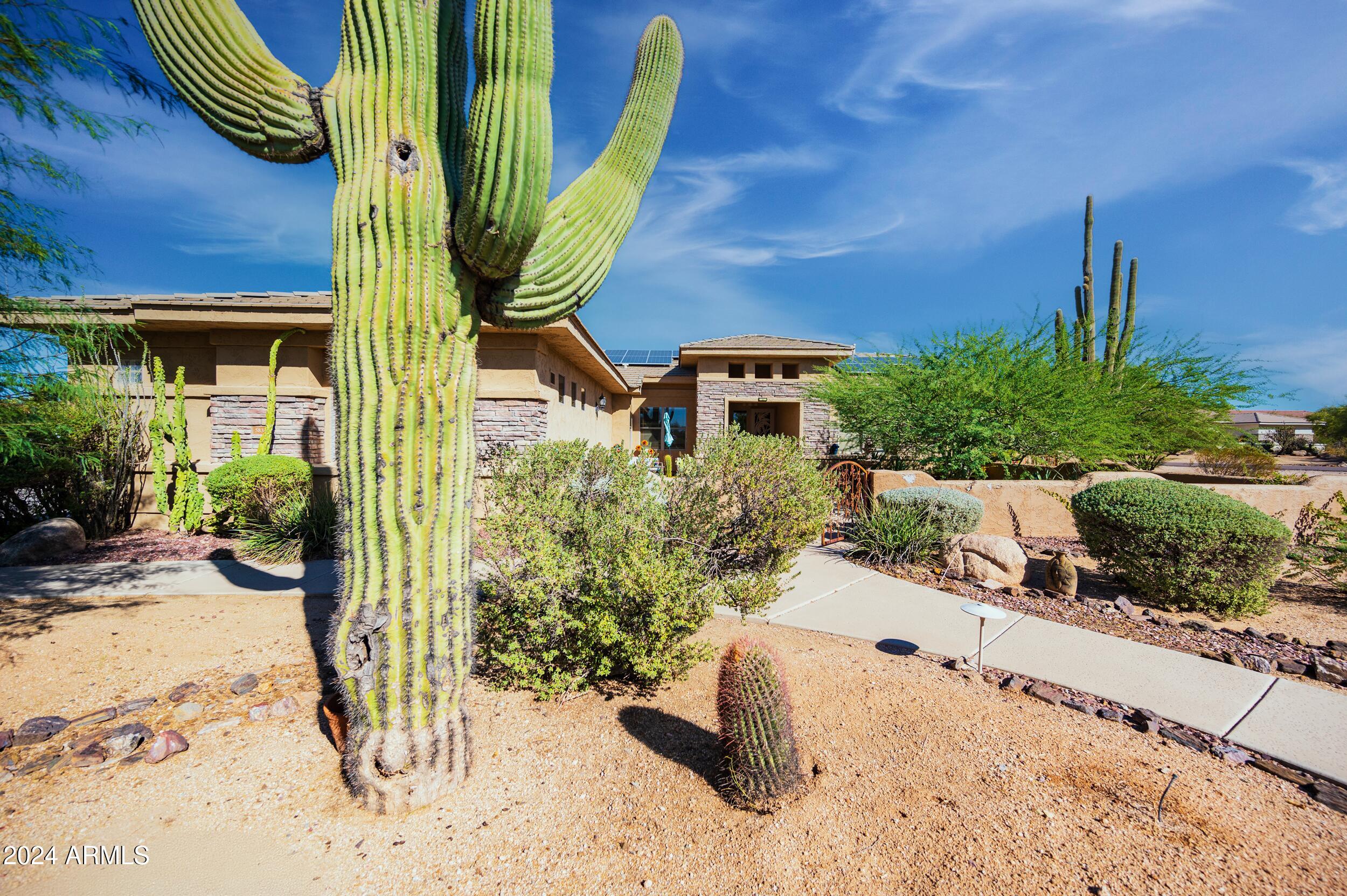 5834 E WILDCAT Drive