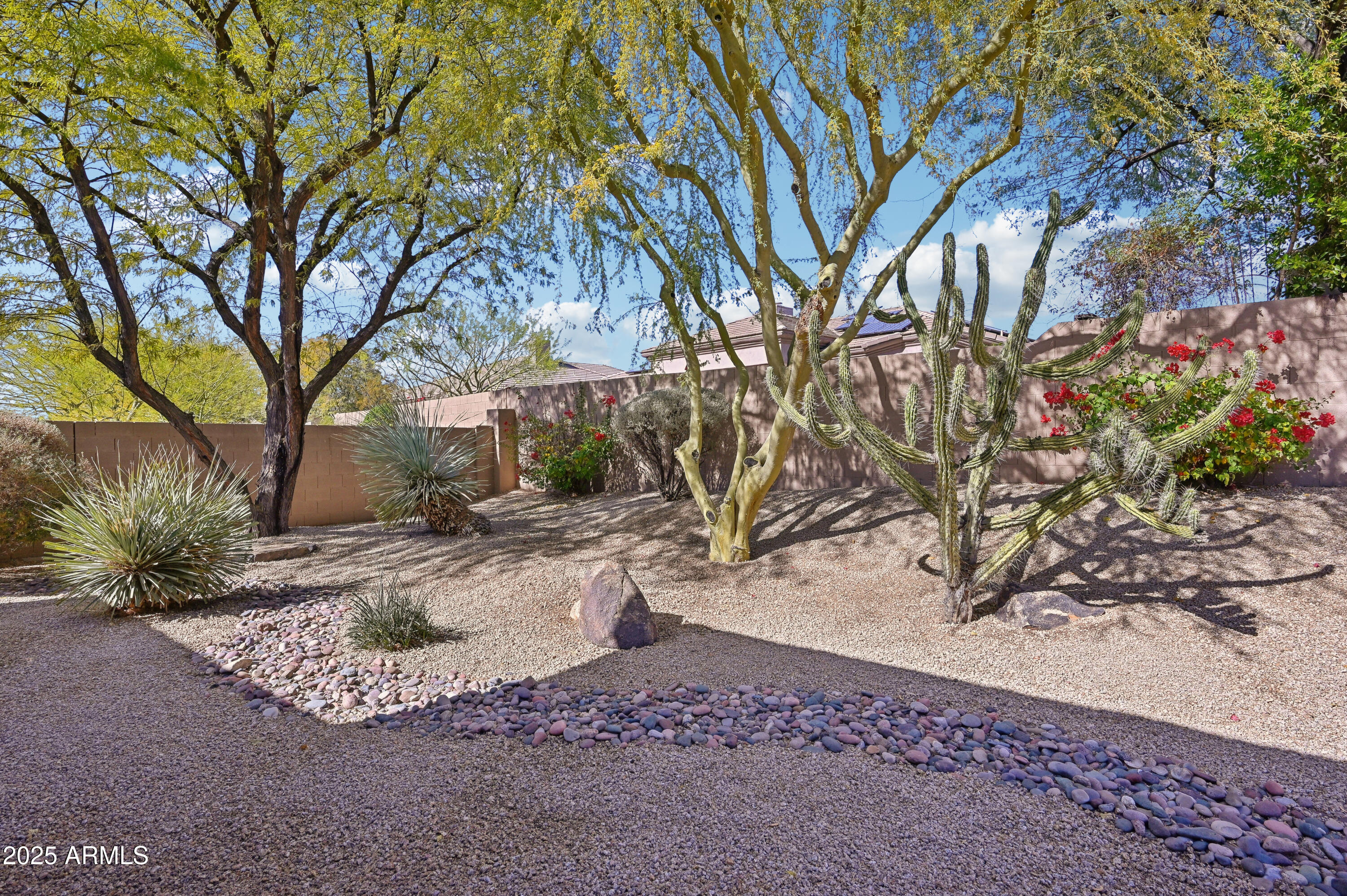 6924 E Mighty Saguaro Way