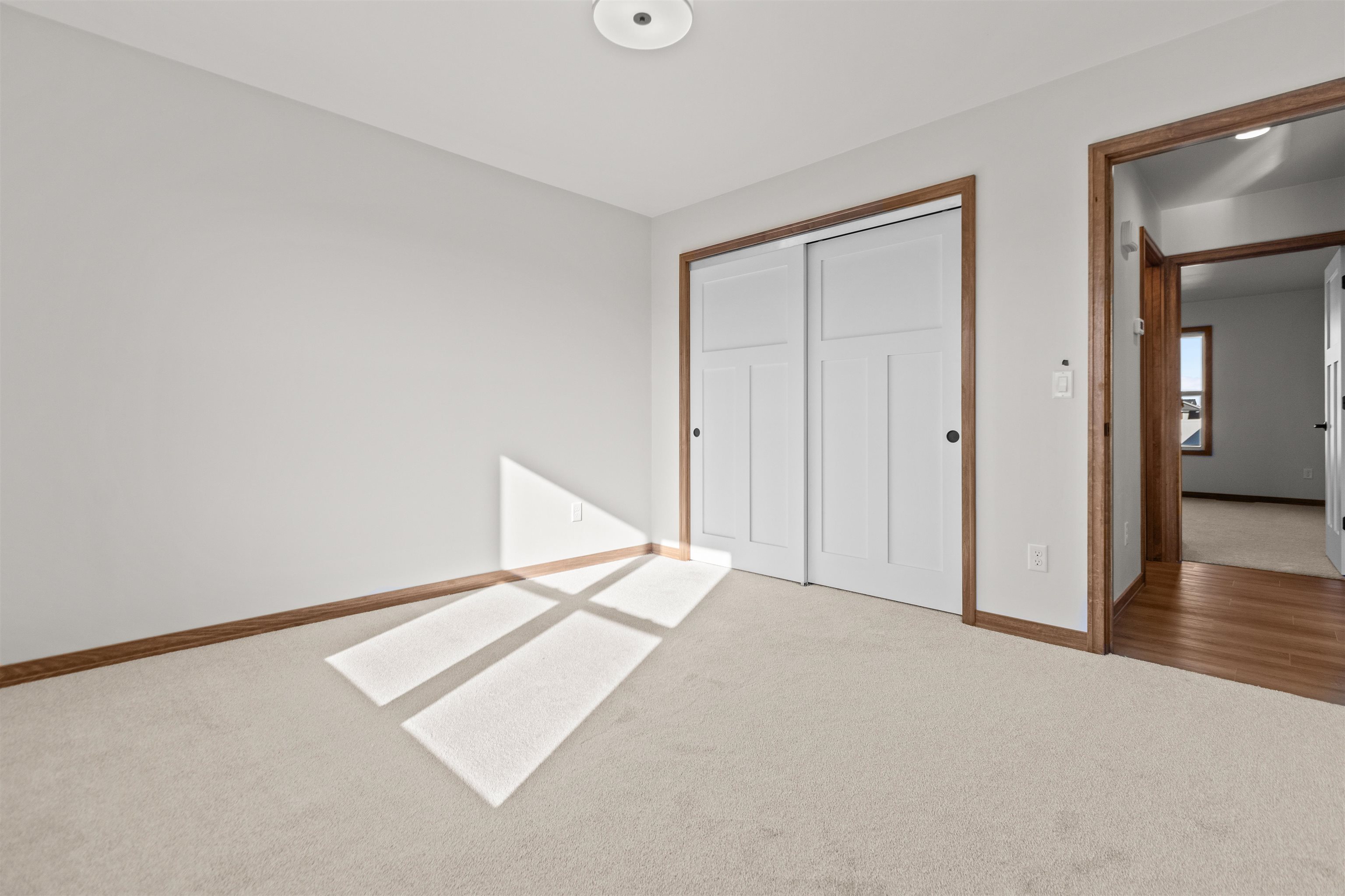 2041 BEAR PAW Trail