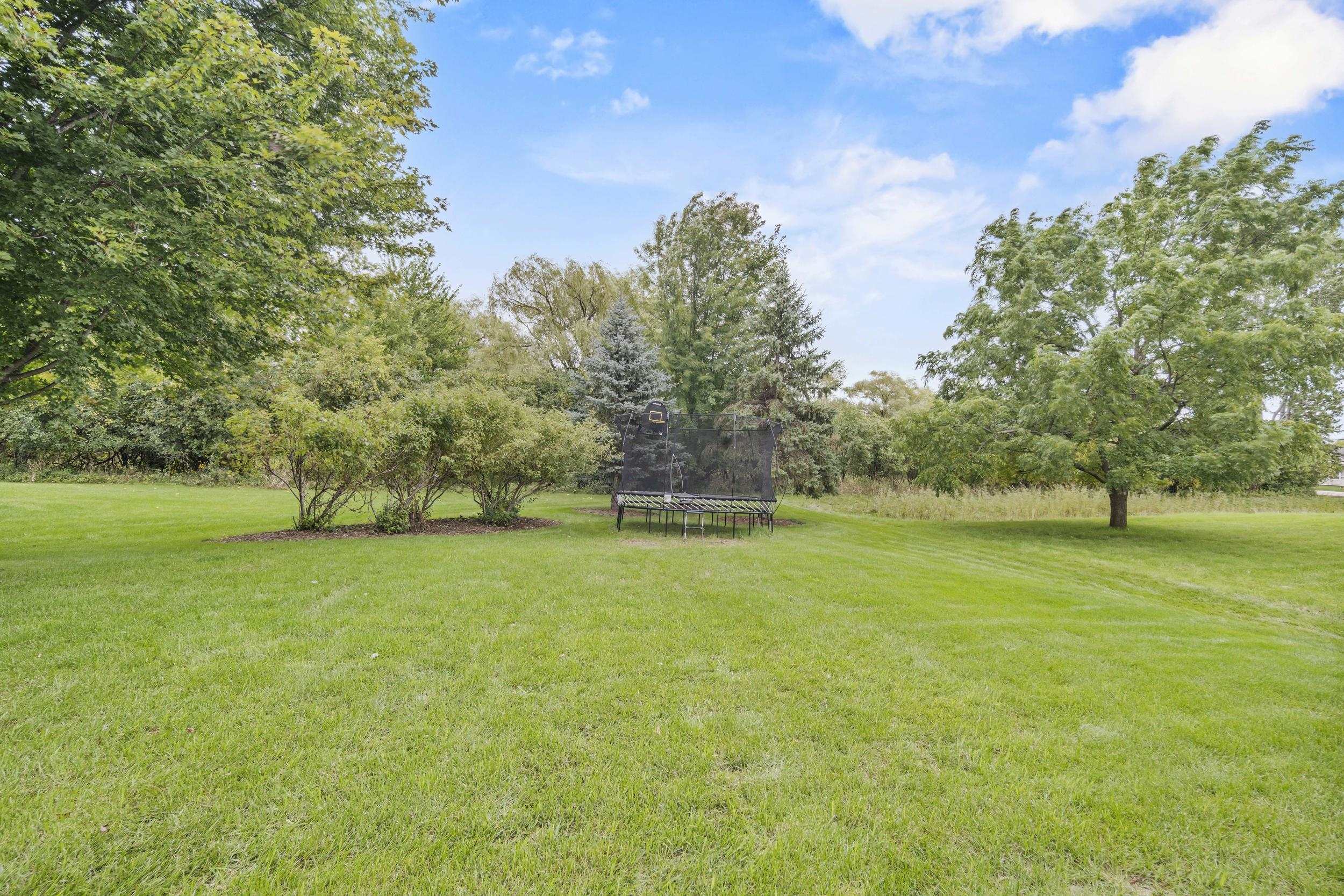 Grassy backyard with mature trees, shrubs, and a trampoline.