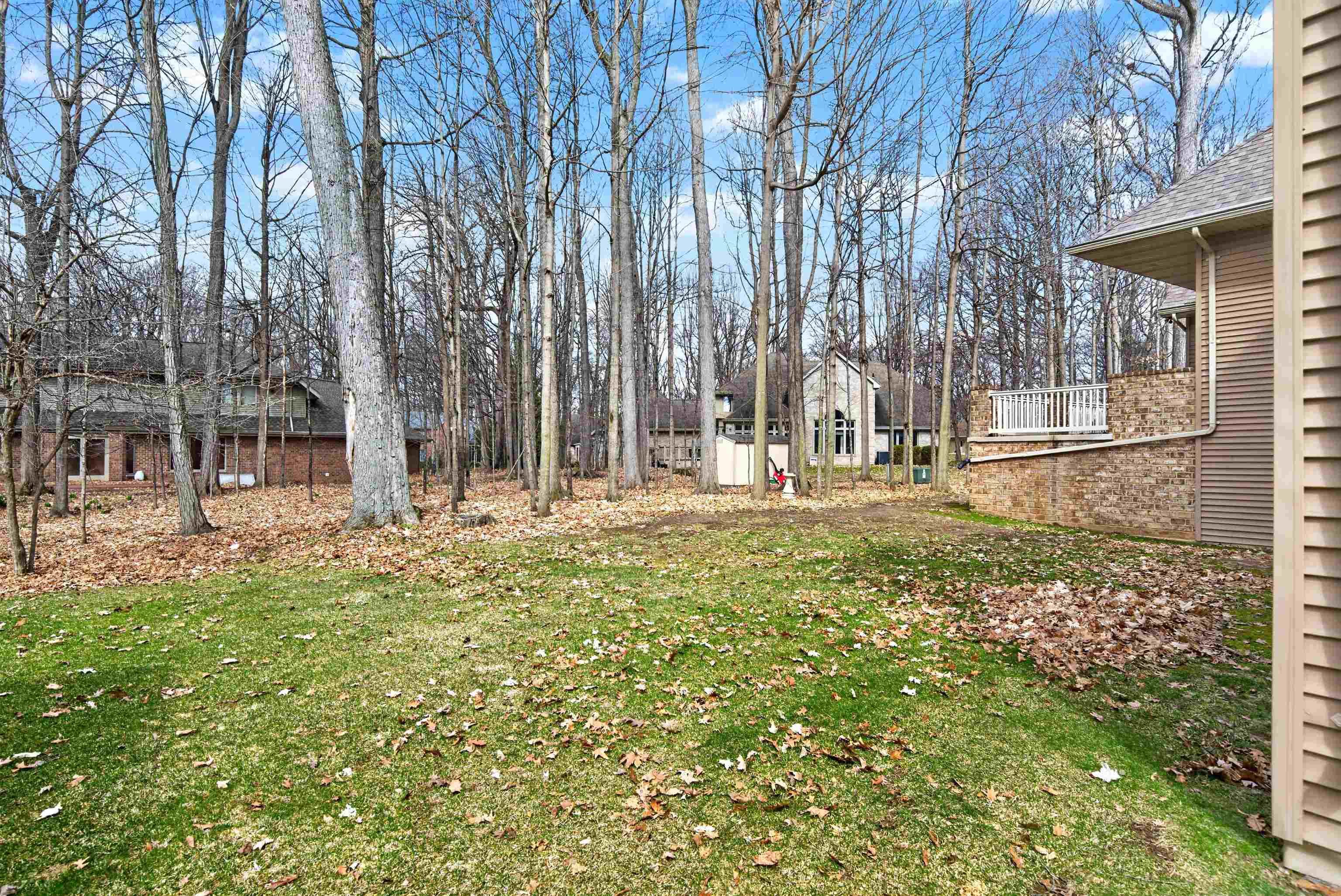 Wooded backyard with a leaf-strewn lawn and neighboring homes visible through mature trees.