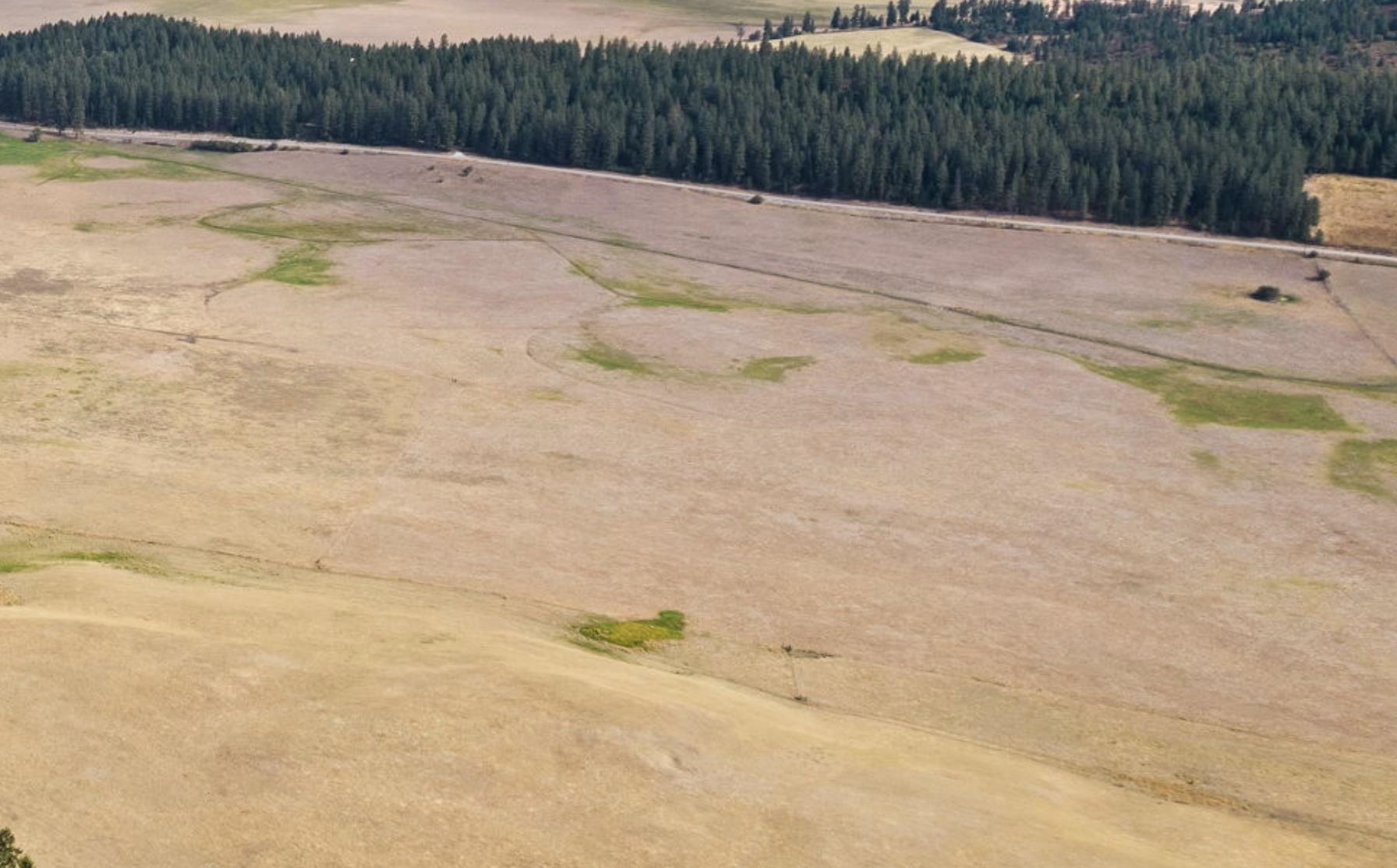 32X W Long Prairie Rd