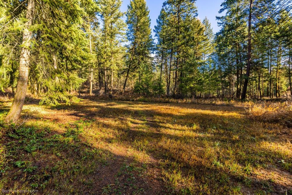 2353C Addy Gifford Rd