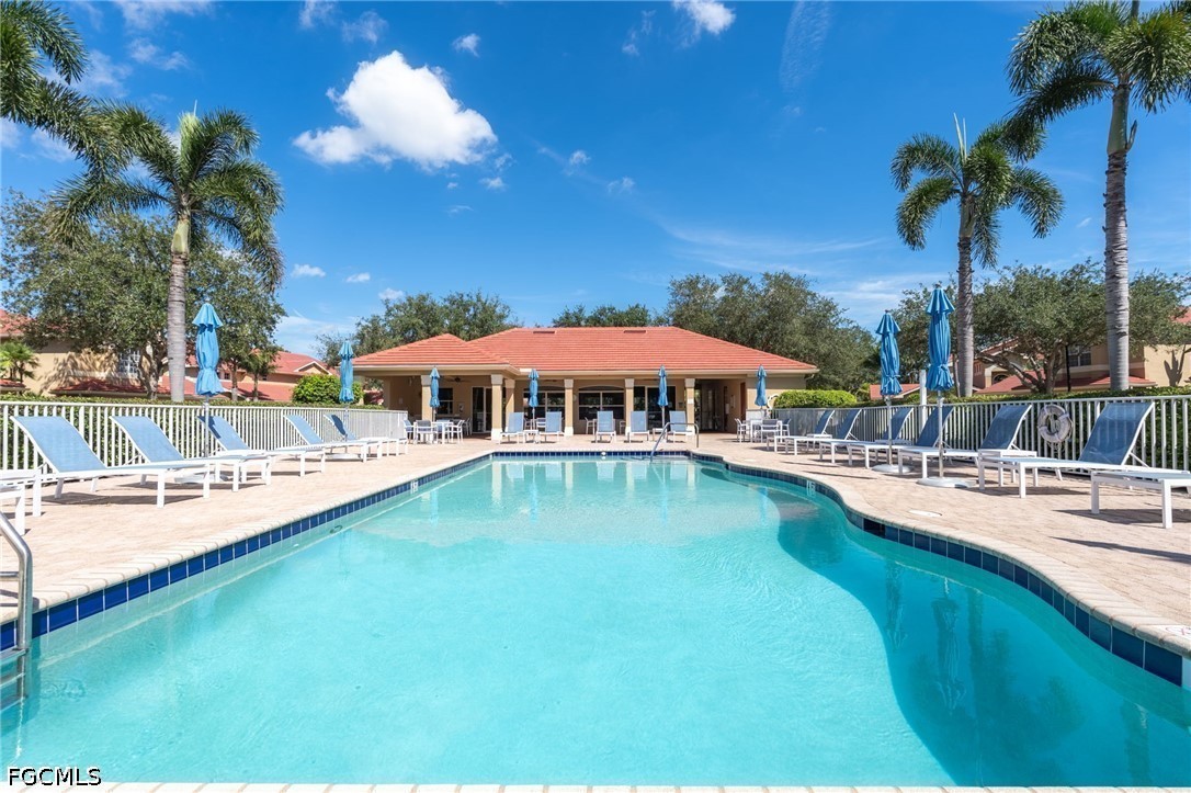 Community pool with curved blue-tile edges, lounge chairs, umbrellas, and palm trees.